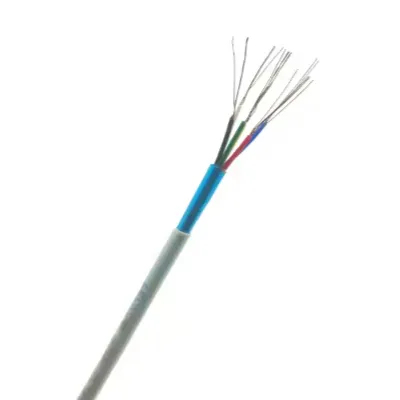 Totogi komepiuta